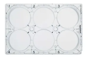 Eppendorf 30730011 Cell Culture Plate, 96-Well, with Lid, Flat Bottom, Sterile, Non-Treated, Individually Wrapped (Pack of 80)
