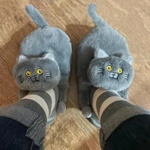 Funny Cat Cute Cartoon Shorthair Plush Slippers