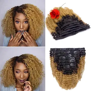 Loxxy Afro Curly Clip in Extensions Thick 100% Virgin Remy Human Hair 4B 4C Natural Black 7 Pieces with 17 Clips 120g per Set (14Inch, AC Ombre #1B/27)