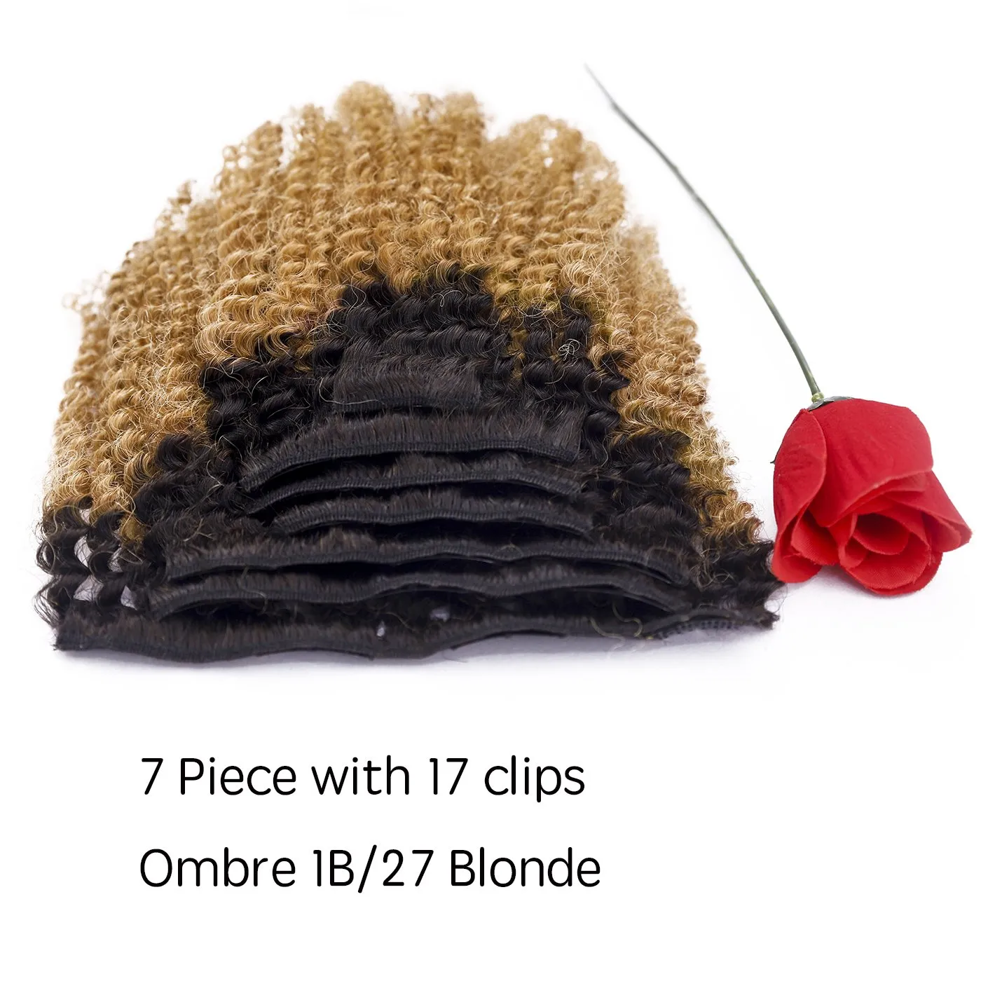 Loxxy Afro Curly Clip in Extensions Thick 100% Virgin Remy Human Hair 4B 4C Natural Black 7 Pieces with 17 Clips 120g per Set (14Inch, AC Ombre #1B/27)