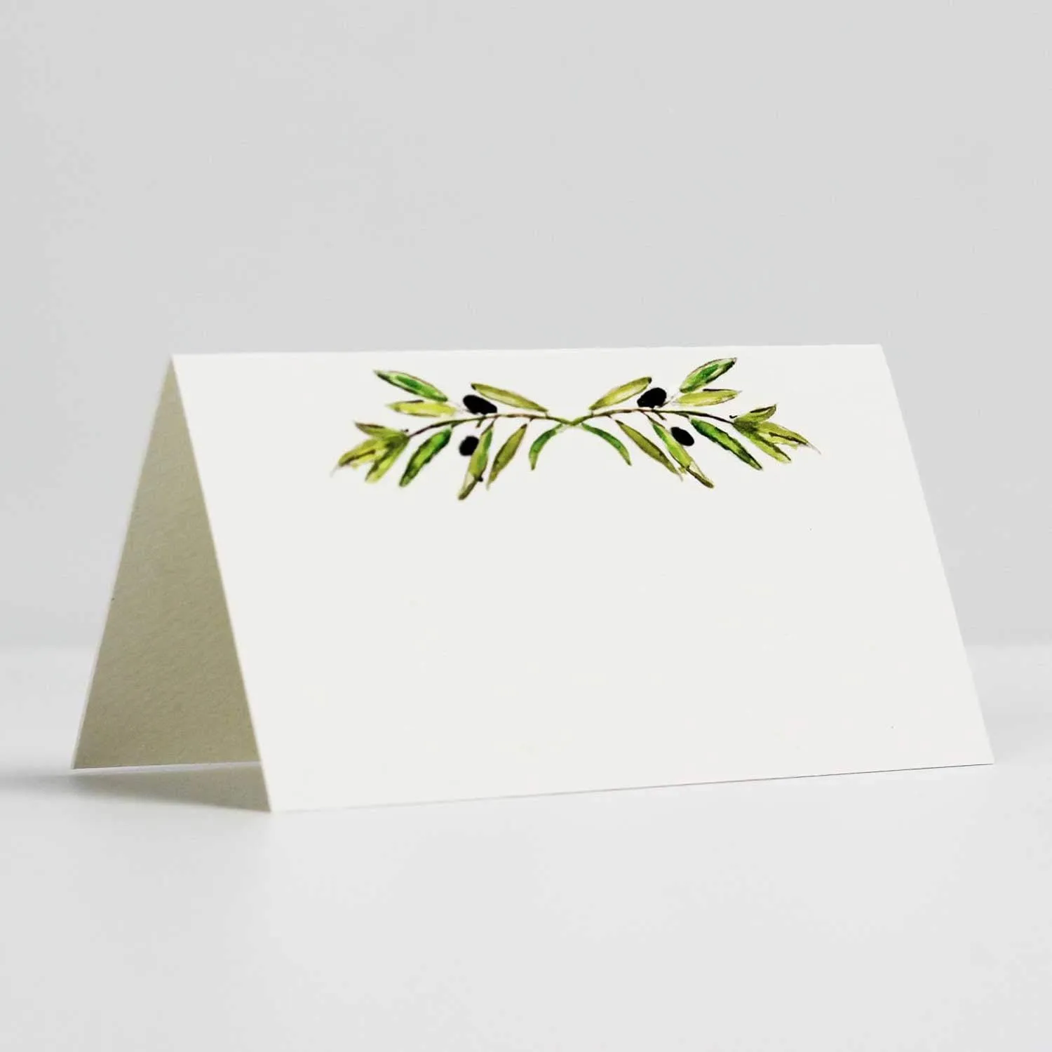 Nancy Nikko Place Cards with Green Leafy Olive Branch for Weddings, Showers, and Dinner Parties. Table Tent Style, Scored for Easy Folding. Available in Pkgs of 12/25 / 50 (25)