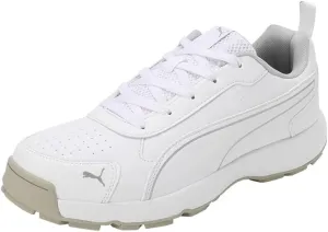 Puma mens Cricket Classicat Cricket Shoe