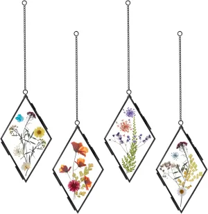 Qunclay 4 Pcs Double Glass Pressed Flower Frames Rhombus Wall Hanging Floating Picture Photo Frames with Chain for Pressed Dried Flowers Plants Photo Small Flat Items Artwork Display(Black,4 Inch)