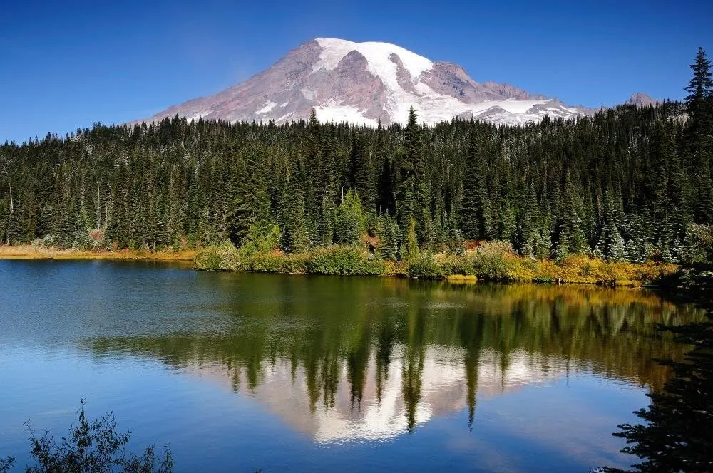 Wallmonkeys Mt Rainier with Reflection Wall Mural Peel and Stick Graphic (48 in W x 32 in H) WM251909
