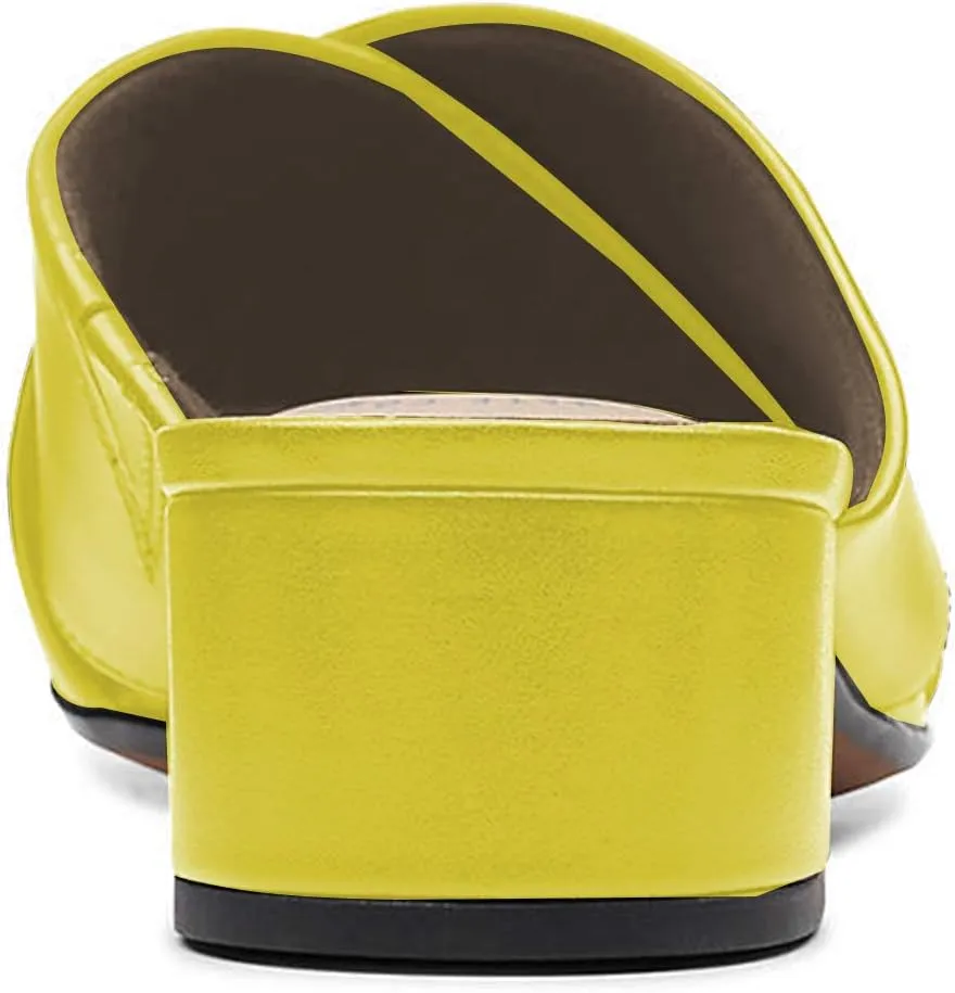 YDN Women Cross Strap Block Heeled Clog Mules Slip On Slide Sandals Summer Fashion Slipper Shoes