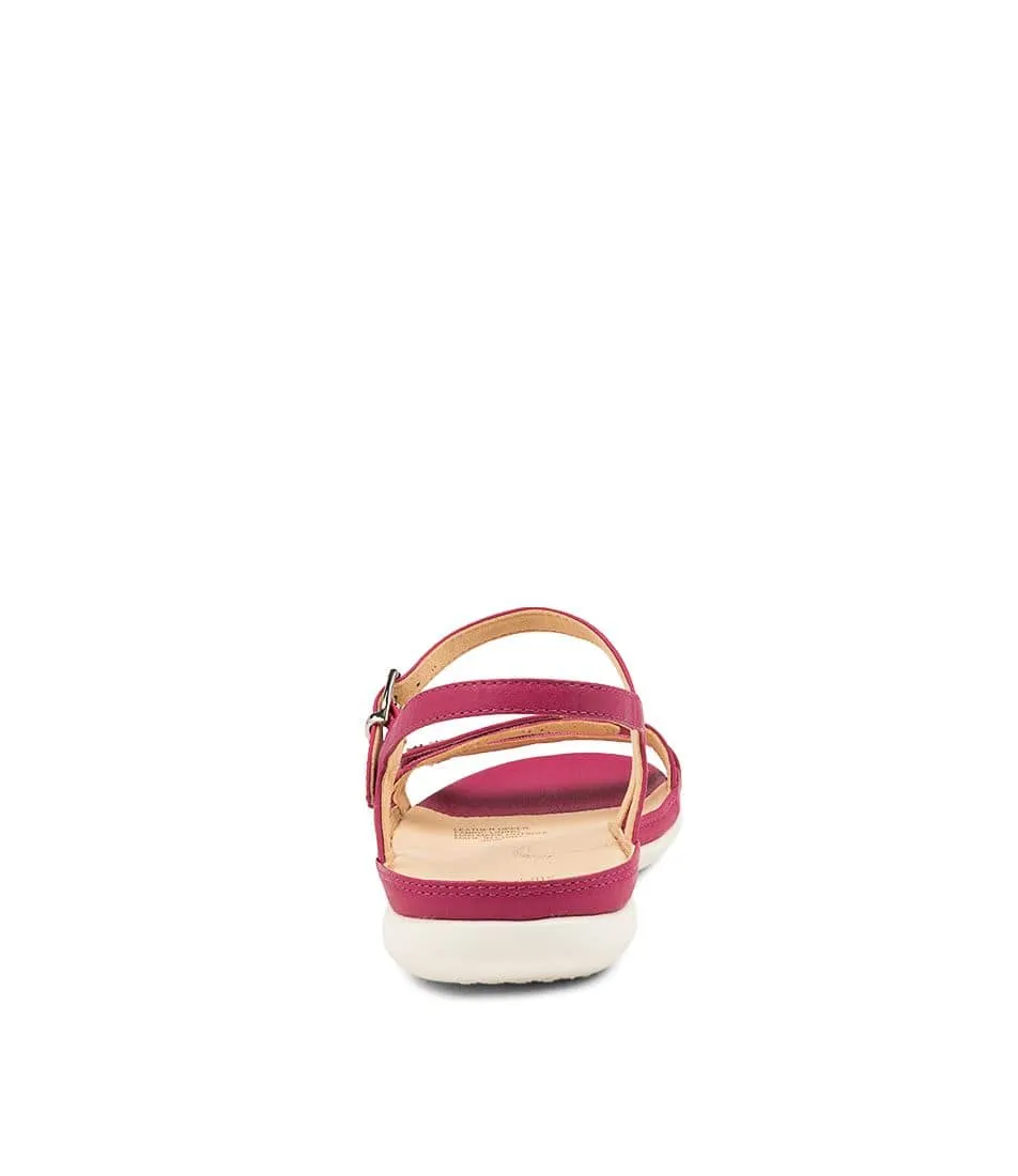 ZIERA BREEZE FUCHSIA